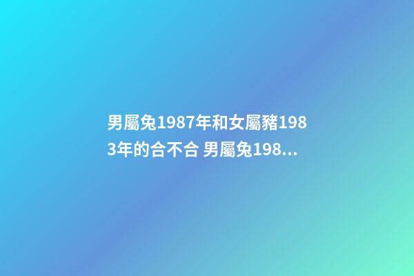 男屬兔1987年和女屬豬1983年的合不合 男屬兔1987年和女屬豬1983年的合不合？-第1張-觀點-玄機派